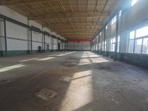 金州杨屯厂房出租，标准重工厂房 厂房一长30宽20高6米 厂